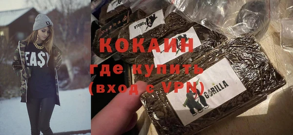 хмурый Алексин