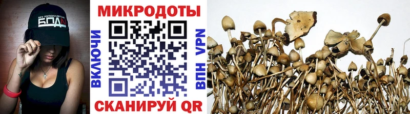 кракен рабочий сайт  Шуя  Псилоцибиновые грибы Psilocybine cubensis  как найти  